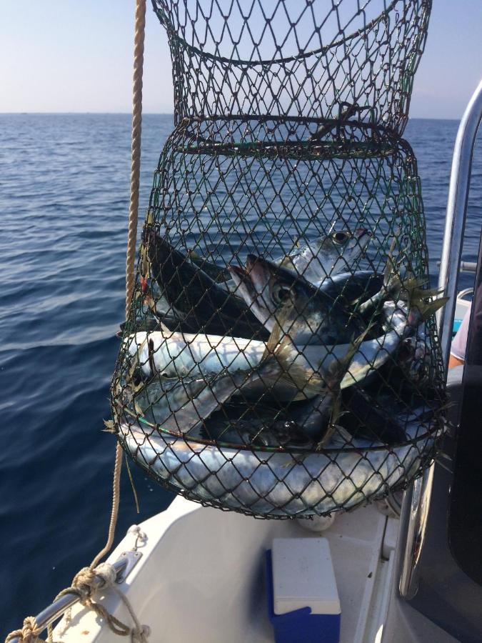 Marina Les Pieds Dans L Eau Lejlighed Le Barcarès Eksteriør billede